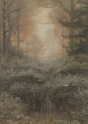 Taugetränkter Ginster